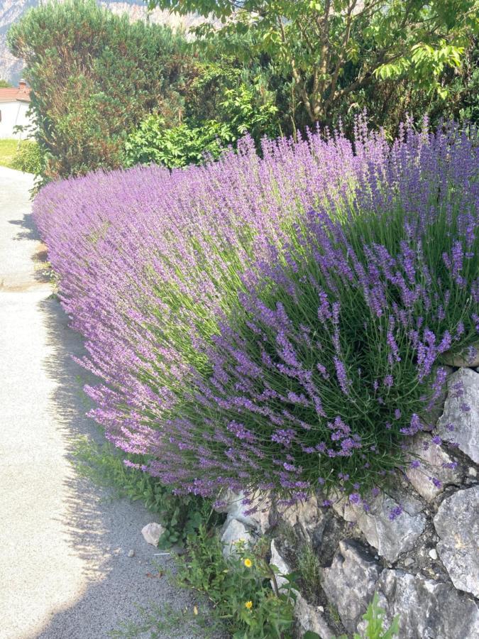 Ferienhaus Auszeit Natur Villach Luaran gambar
