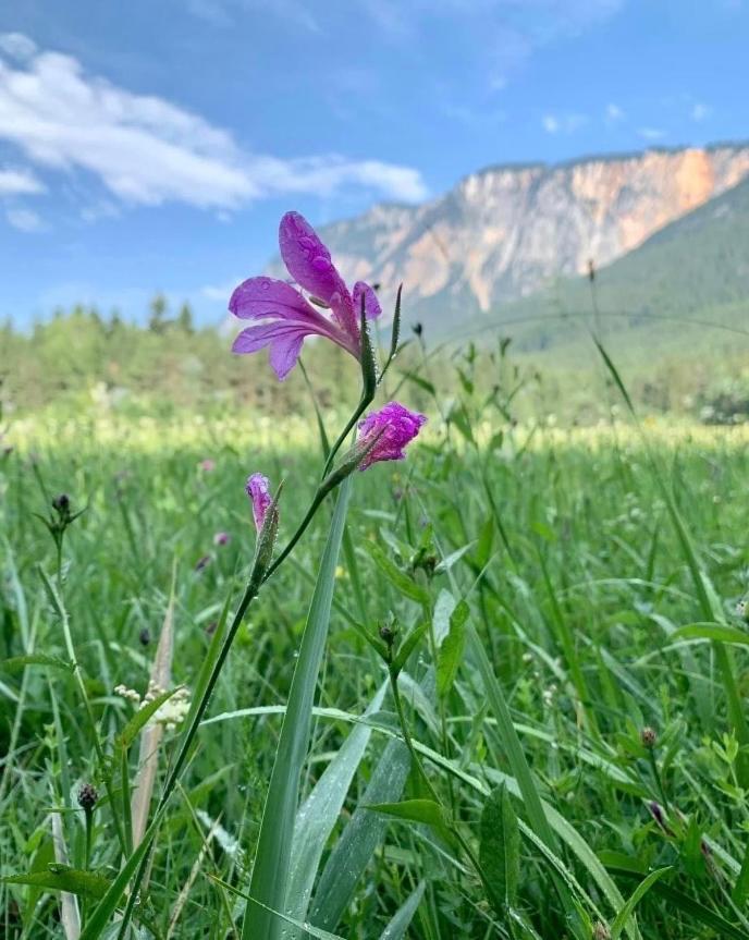 Ferienhaus Auszeit Natur Villach Luaran gambar