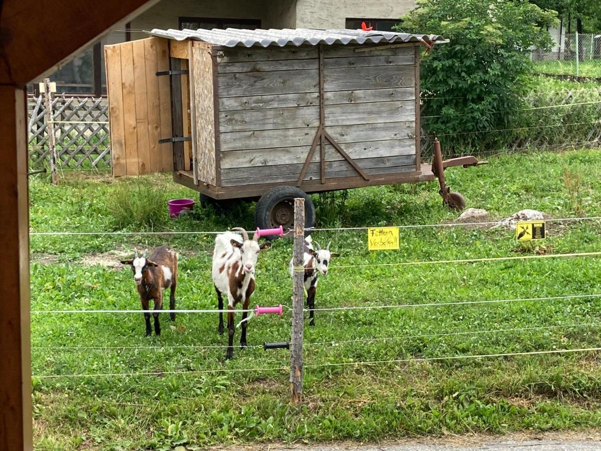 Ferienhaus Auszeit Natur Villach Luaran gambar